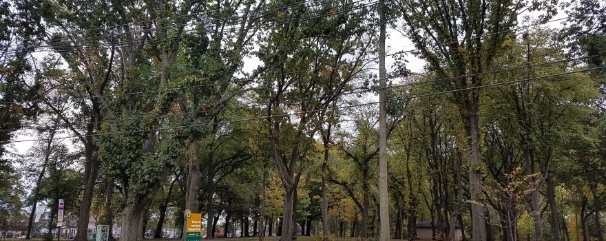 John Russell Wheeler Park