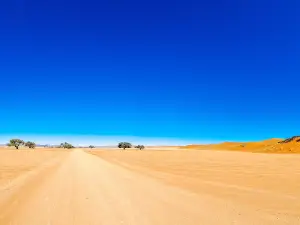 Elim Dunes