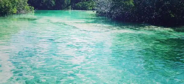 Hoteles en Stock Island