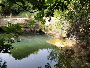 Molí la Vella