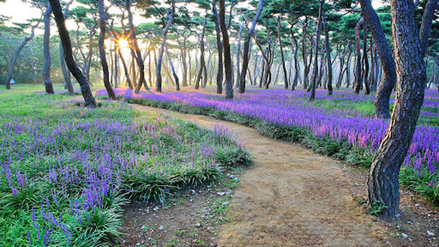 Gyeongju Civic Stadium