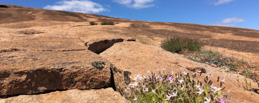 Mt Wudinna