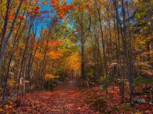 Roberts Farm Preserve Trails
