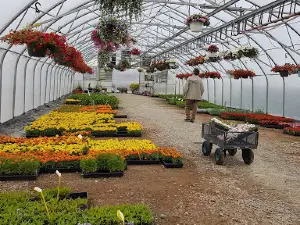 Lawrence's Springwater Farms