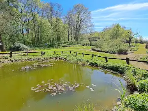 Märchenwald-Garten