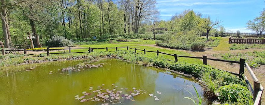 Märchenwald-Garten