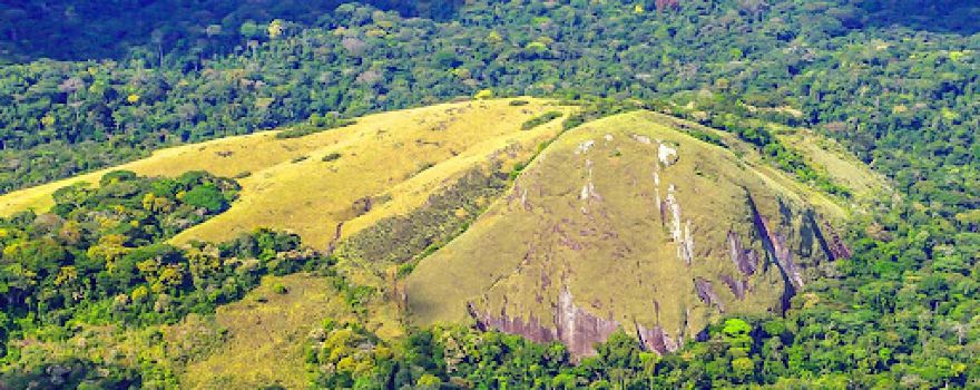 Minkébé National Park