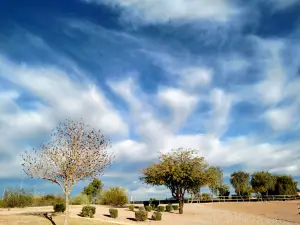 Skyline Park