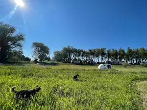 Jolley Camper RV and Cottages