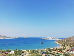 Boğsak