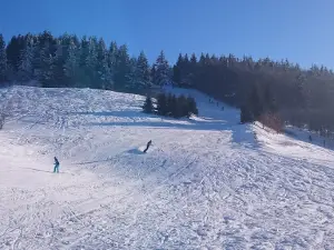 Ski- und Rodelarena Wasserkuppe