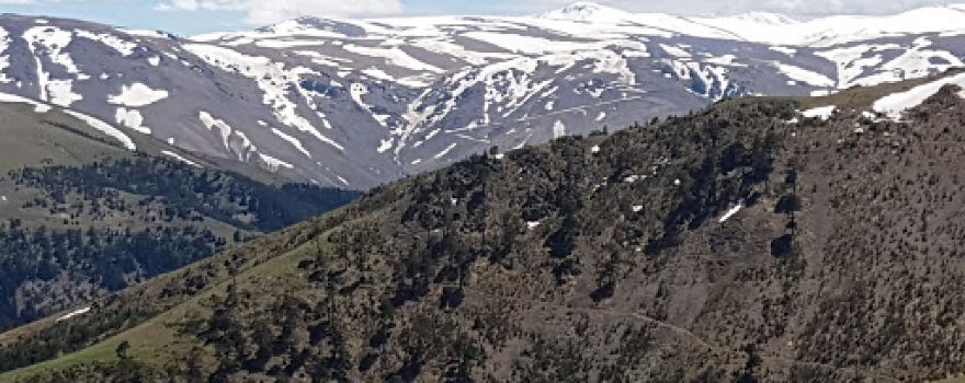 Ede Obası