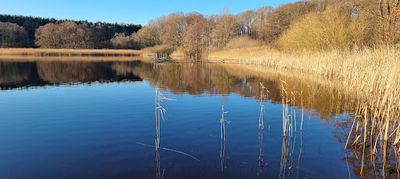 Caravan Park at Brahmsee