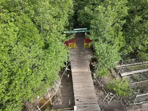Mangrove Sungai Bersejarah Permai