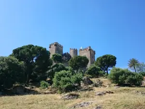 Alanis Castle