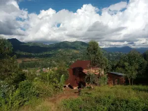 West Usambaras Lushoto Mountain Reserve