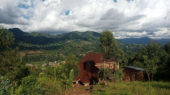 West Usambaras Lushoto Mountain Reserve