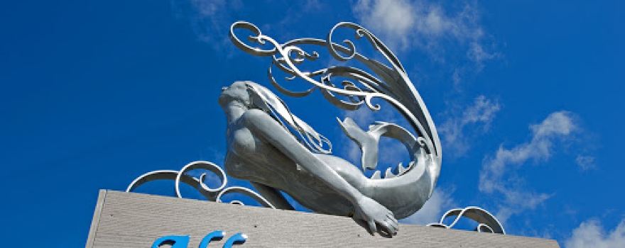 Allure Art Center