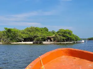 Isla De Las Conchas