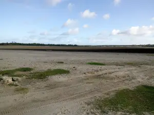 Moh'd extension video show