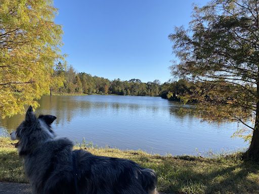 Comite River Conservation Area