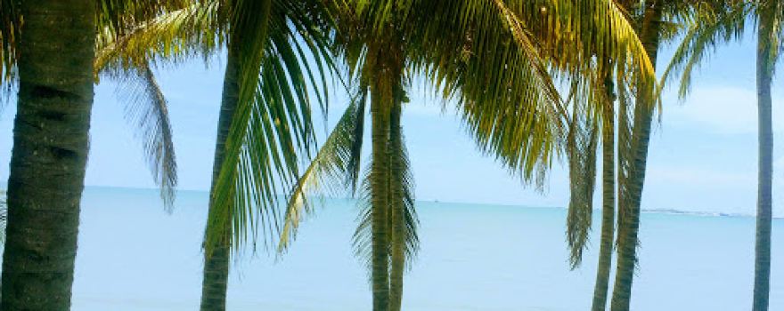 Parque Cd Del Carmen