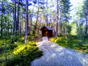 RMK Allikjärve lõkkekoht