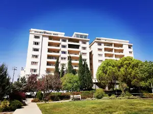 Daik Park پارکی دایک