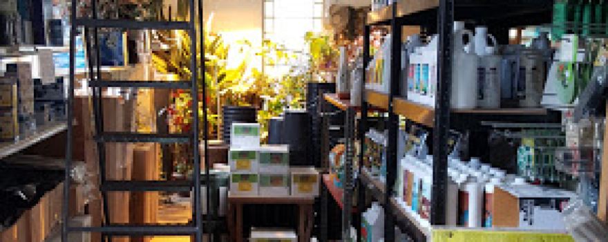 Green Thumb Gardening & Hydroponics