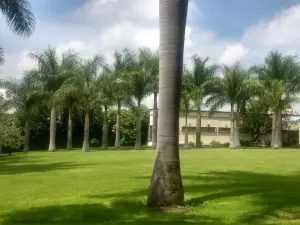 Finca Guadalupe