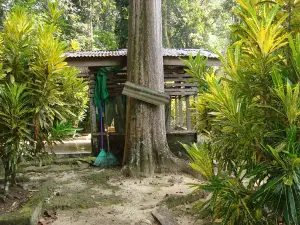 Wisata Religi Rantau Binuang Sakti