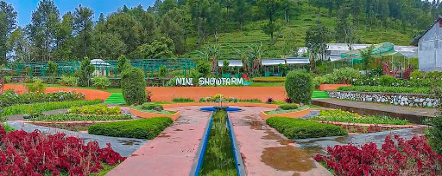 Mini Showfarm Bantaeng