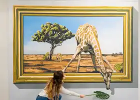 3D Fun Art Museum Porto