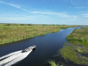 Lake Okeechobee/ Headwaters Fishing Guides/Charters
