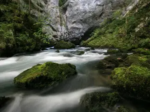 Sana Springs