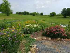 Botts Park