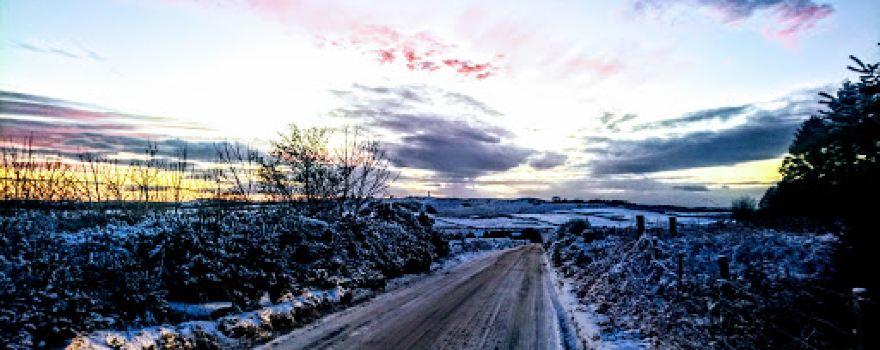 Portlethen Moss