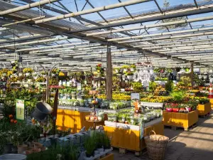 Fiedler Garden & Hobby Land GmbH