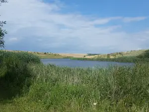 Vyshnya River