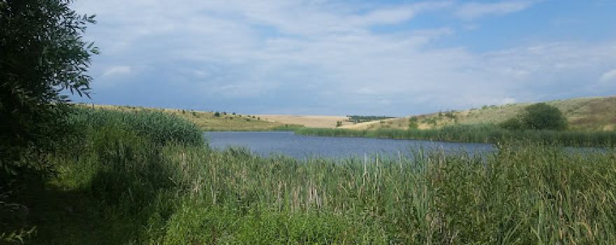 Vyshnya River