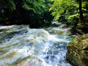 Freedom Falls