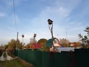 Колокшанец СНТ