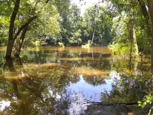 Perryville City Park