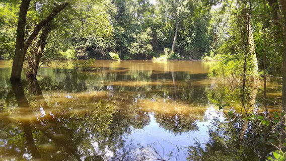 Perryville City Park