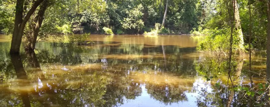 Perryville City Park