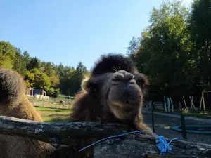 Damjan Zupan - Nosilec dopolnilne dejavnosti na kmetiji - Ranč Aladin