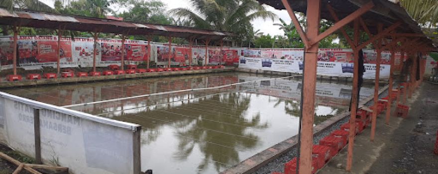 kolam pancing karjo