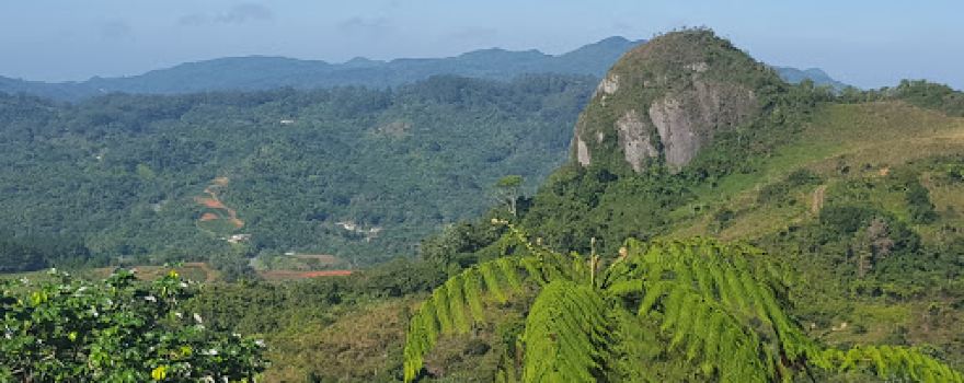 Cancha Sector La Francia, Bo. Bauta Abajo, Orocovis, PR