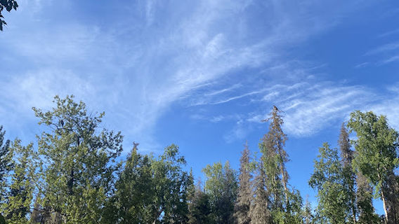 Russian River Falls Trailhead