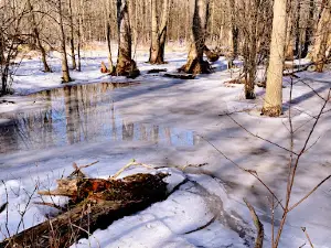 RIM Park